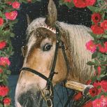 36.jesienna karta pocztowa z motywem konia