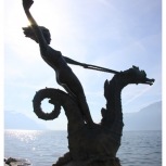 7.