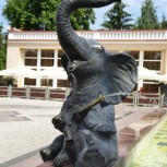 7,